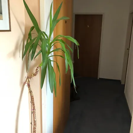 尤克豪斯酒店 巴特萨尔茨乌夫伦