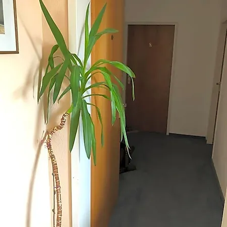 Junkerhaus باد سالزفلن