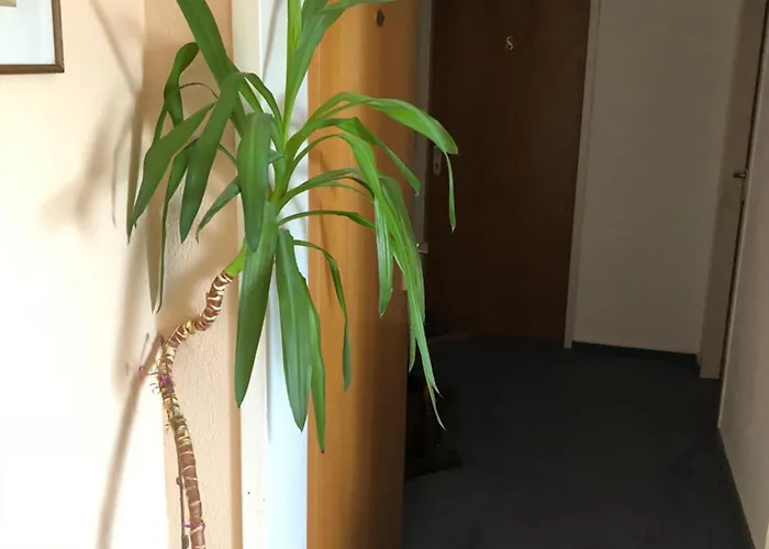 Junkerhaus Bad Salzuflen